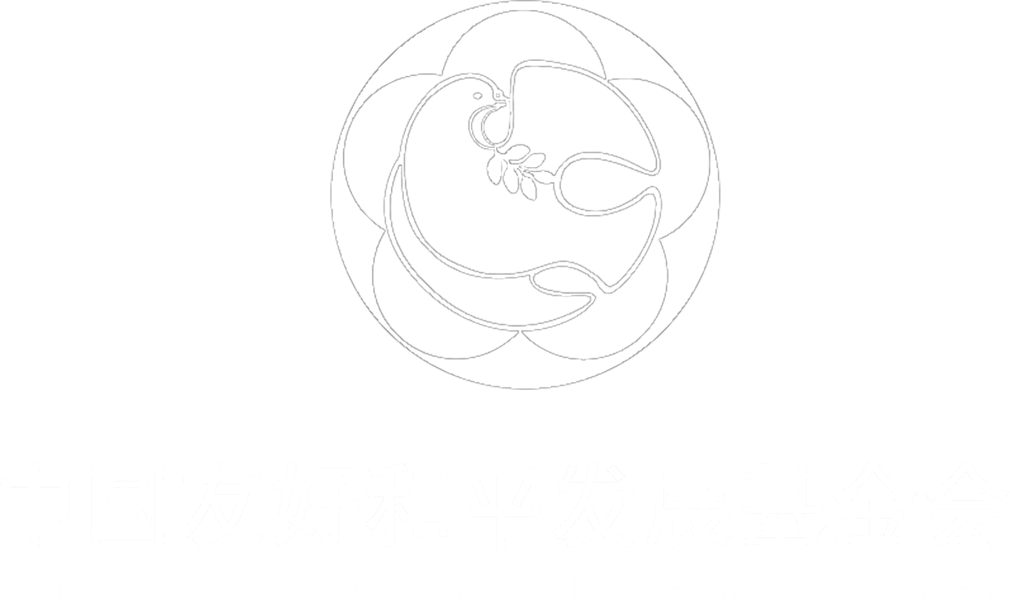 中国友好和平发展基金会